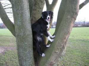 300Kopie von Img_1979.jpg